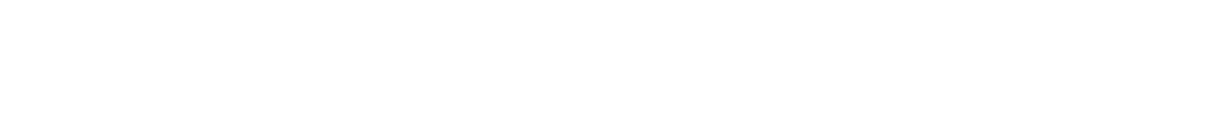 Webtric Capital